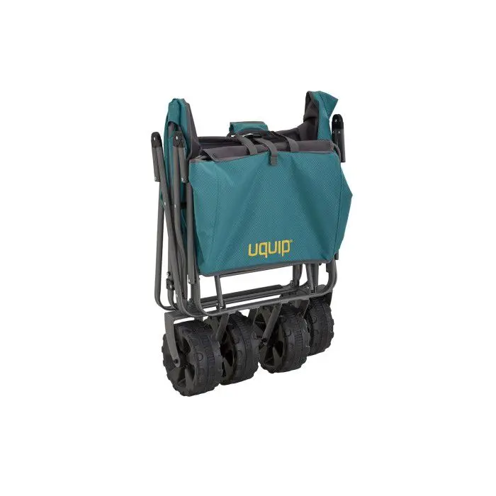 source901477.jpg BUDDY