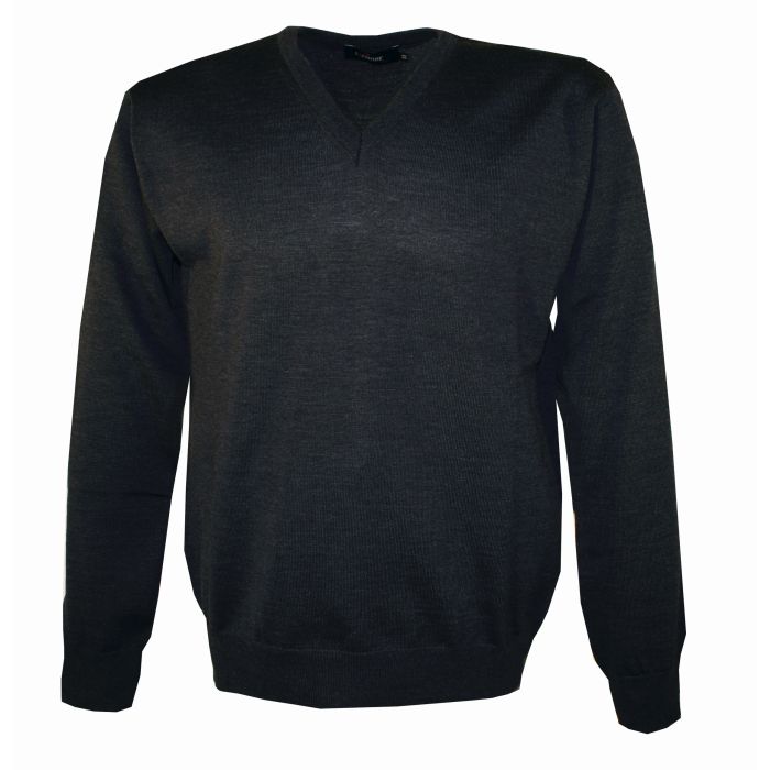 source550019.jpg PD V-NECK Male