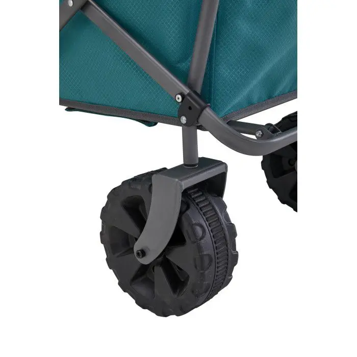 source364537.jpg BUDDY