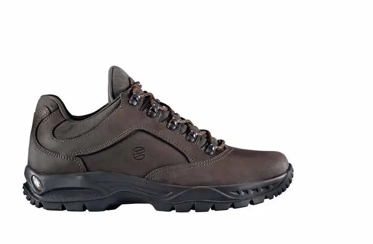 source742488.jpg Robin