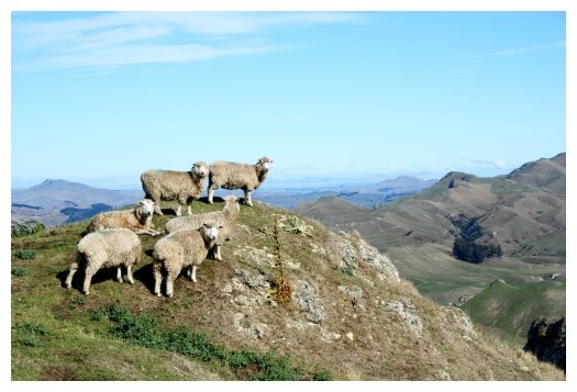 Eine Schafherde auf einem Berg