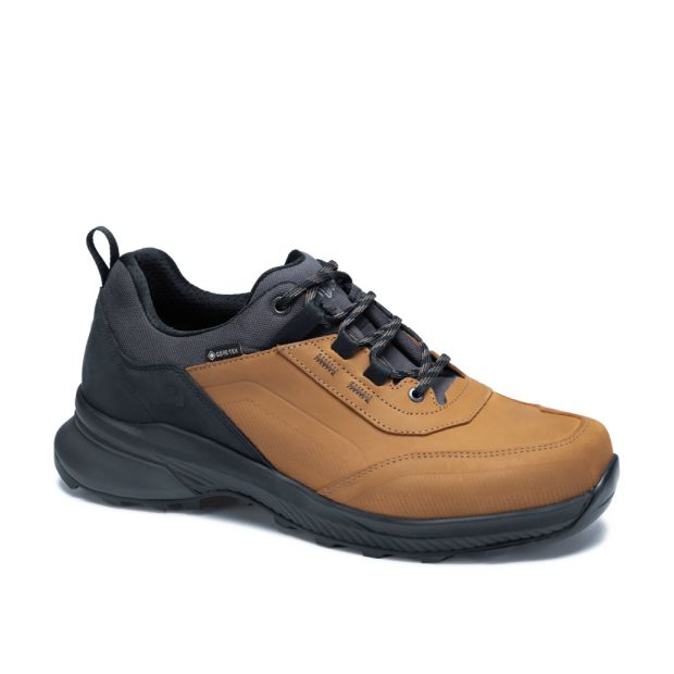 Farbe: Hazelnut/Asphalt - Fortavo Low SF Extra GTX