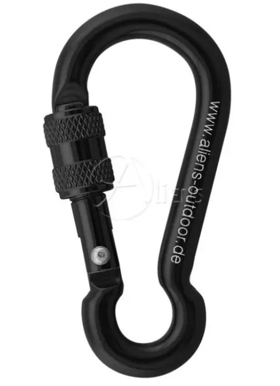 source89921.JPG Farbe: Schwarz/Blank - Zubehörkarabiner 6 Mini Screw