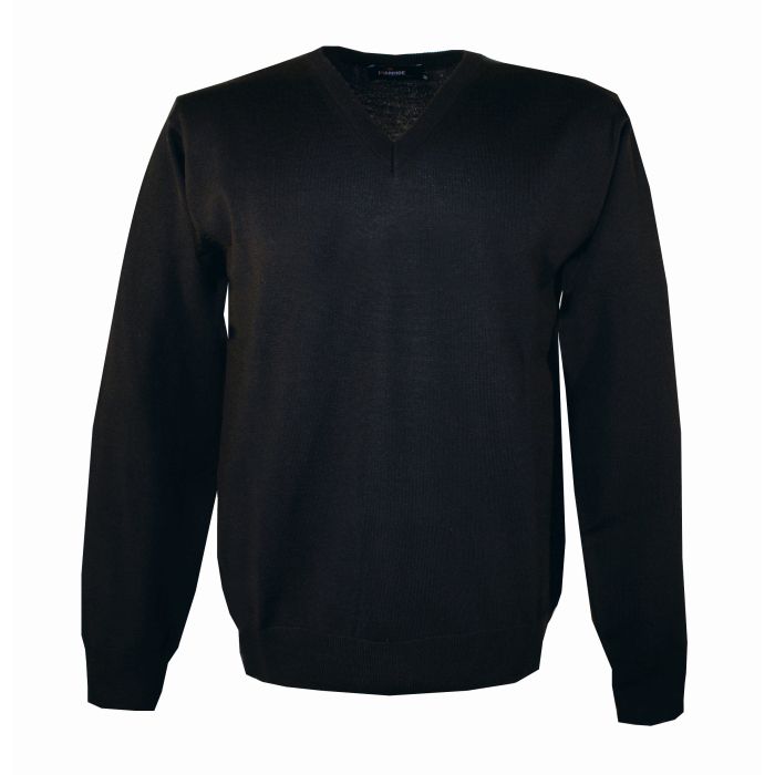 source100245.jpg PD V-NECK Male