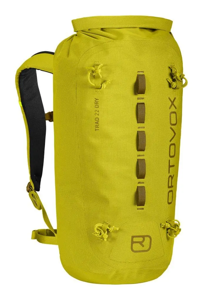 Farbe: dirty daisy - Trad 22 Dry