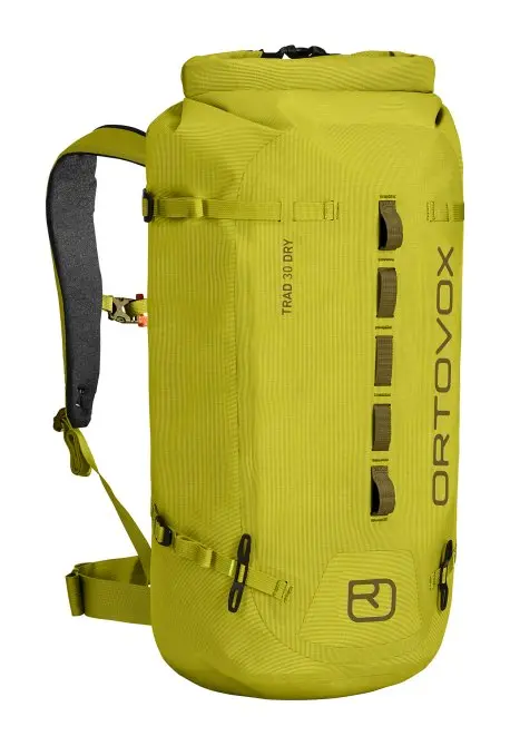 Farbe: dirty daisy - Trad 30 Dry