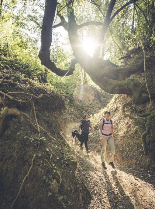 Hanwag Rotpunkt Low LL Hanwag Rotpunkt Low LL