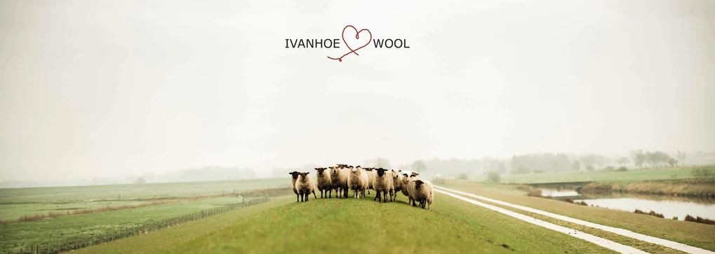 Ivanhoe of Sweden - Schafe auf Weide