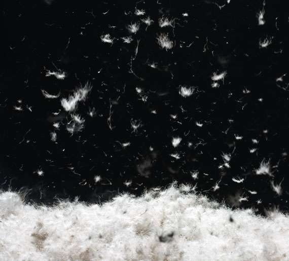 Valandré Gonzo Daunenjacke Valandré Gonzo Daunenjacke