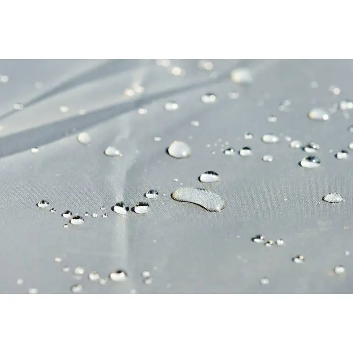 source31439.jpg SCOTTY