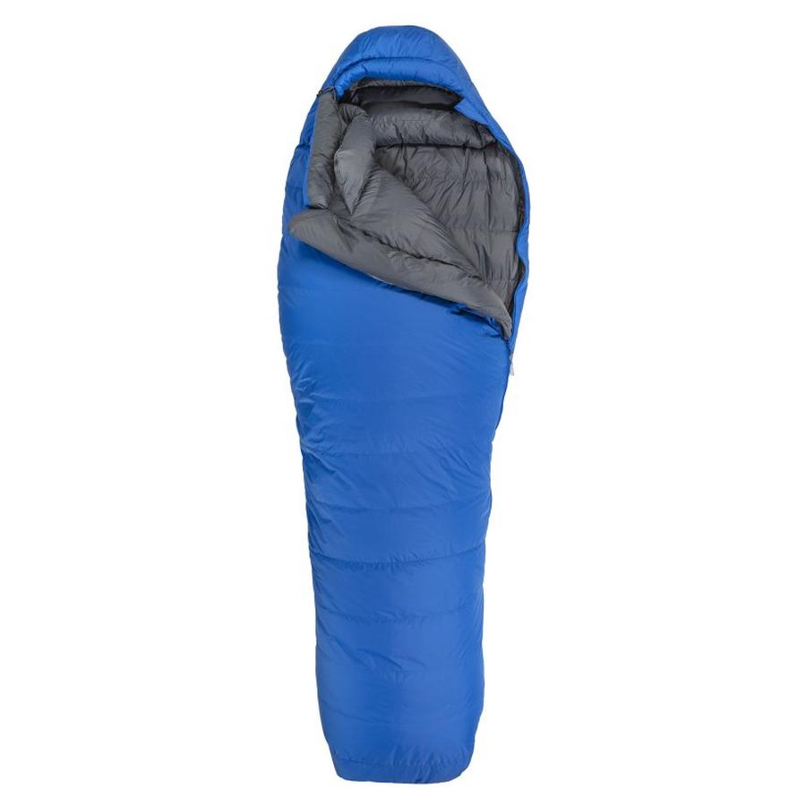 Rago Winter Rago Winter